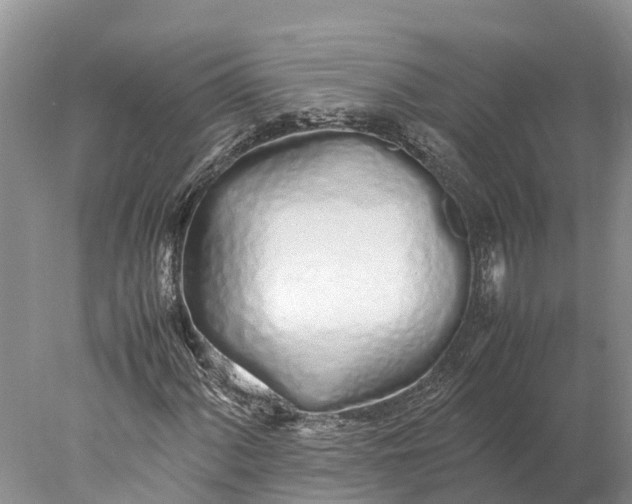 X0000077991060200611171749