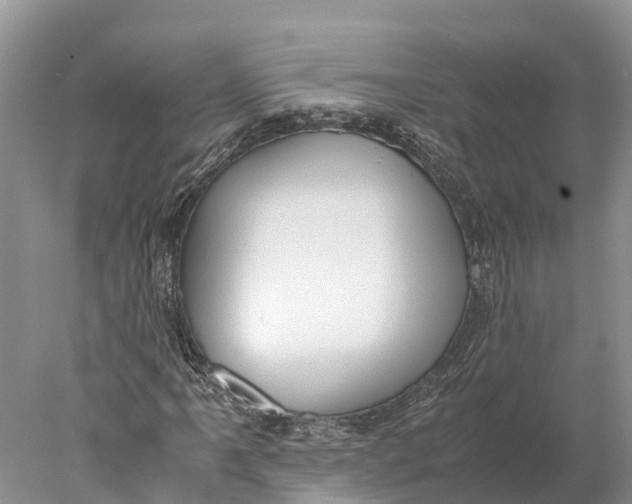 X0000077991061200611171749