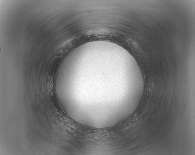 X0000077991062200611171749