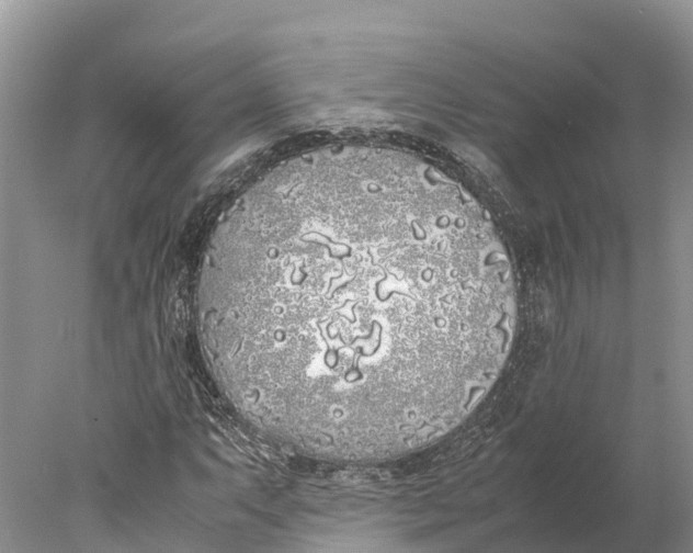 X0000077991063200611171749