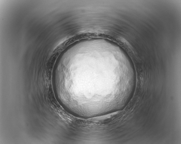 X0000077991064200611171749