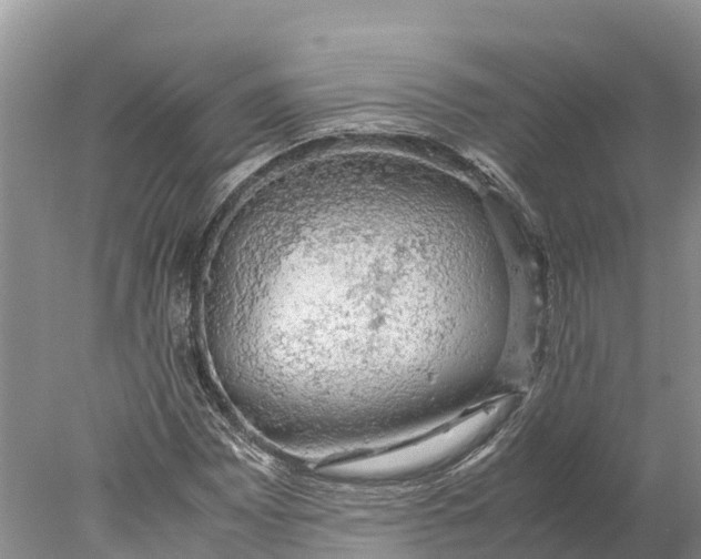 X0000077991065200611171749