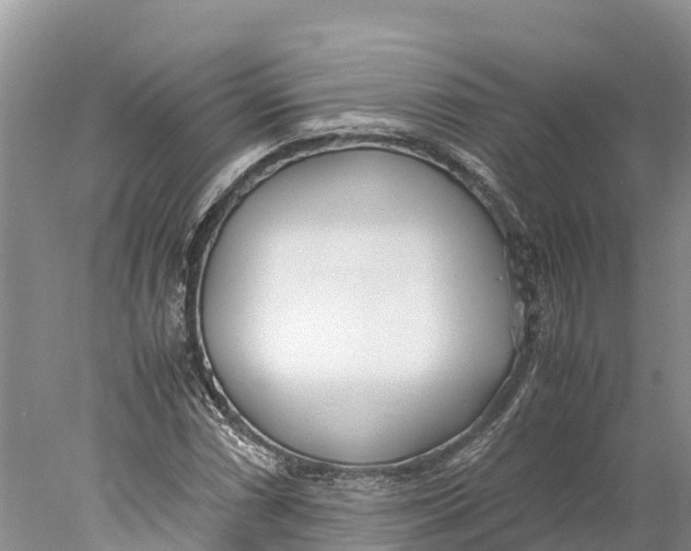 X0000077991066200611171749