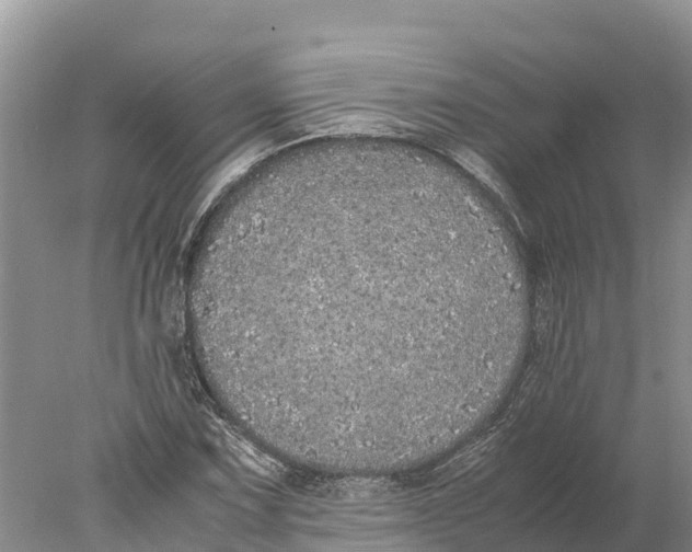 X0000077991067200611171748