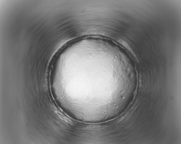 X0000077991068200611171748