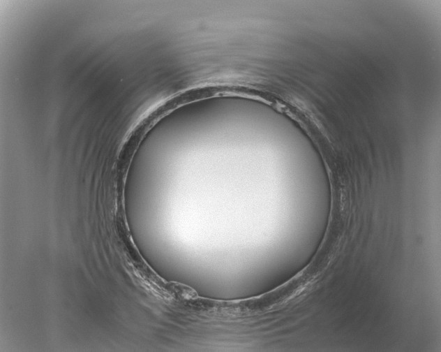 X0000077991069200611171748