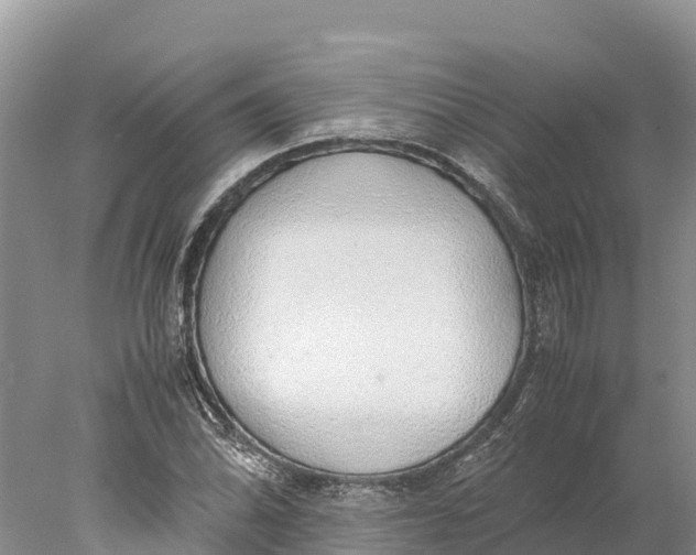 X0000077991070200611171748