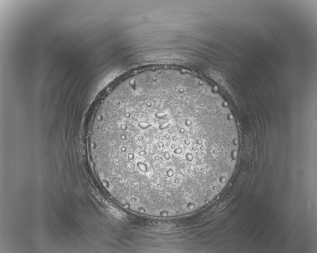 X0000077991071200611171748