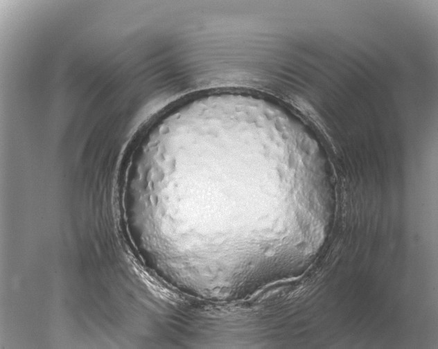 X0000077991072200611171748