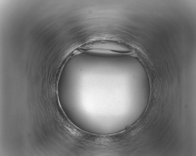 X0000077991073200611171748