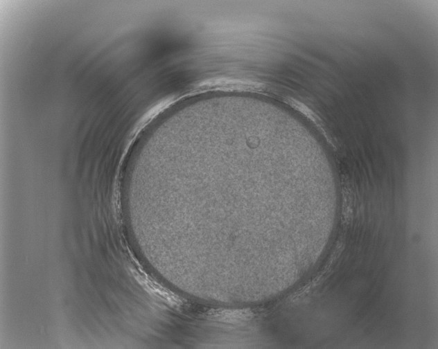 X0000077991074200611171748