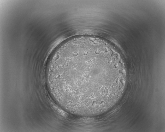 X0000077991075200611171748