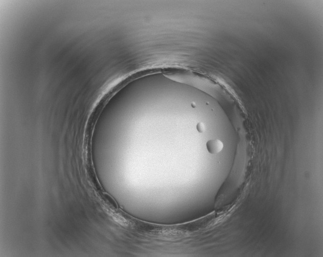 X0000077991077200611171748