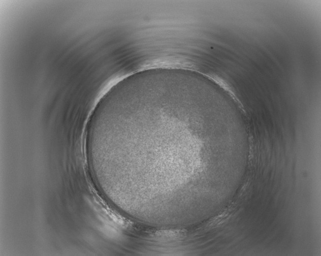 X0000077991078200611171748