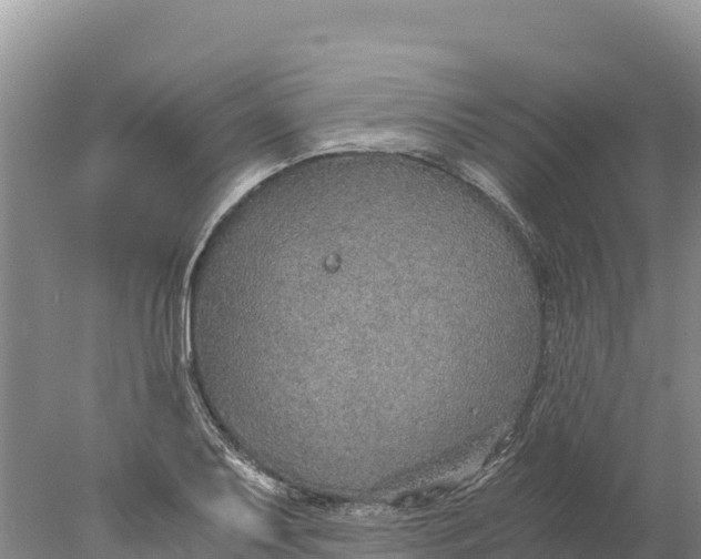 X0000077991079200611171748