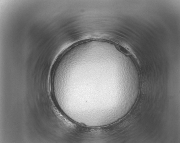 X0000077991080200611171748