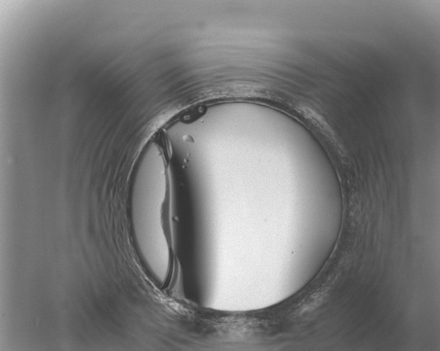 X0000077991081200611171748