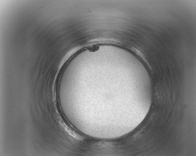 X0000077991082200611171748