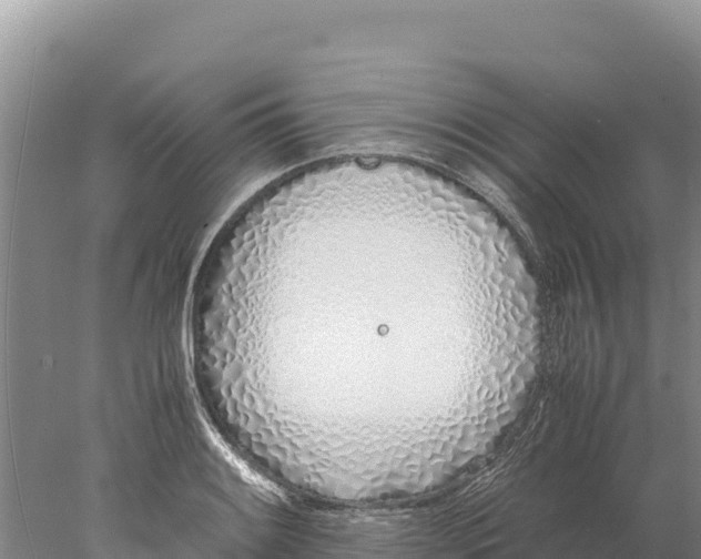 X0000077991084200611171748