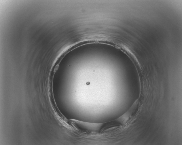 X0000077991085200611171748