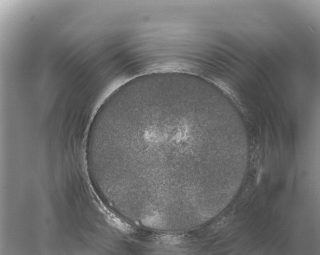 X0000077991086200611171748