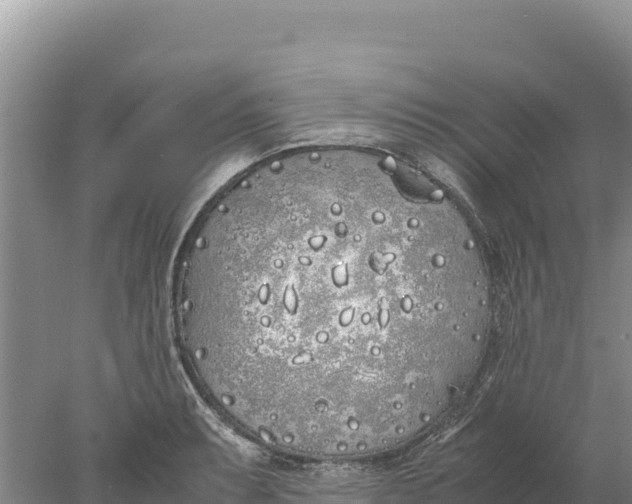 X0000077991087200611171748