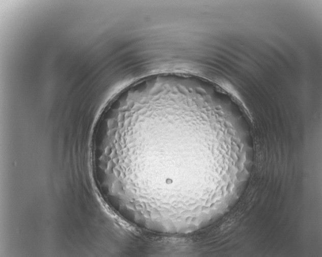 X0000077991088200611171748