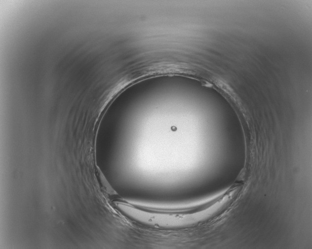 X0000077991089200611171748