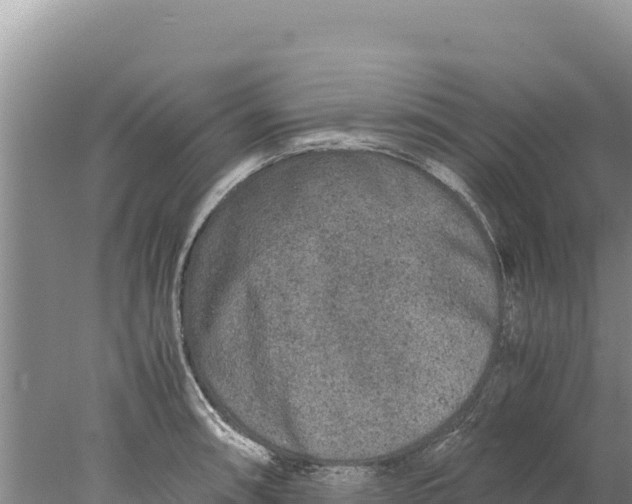 X0000077991090200611171748