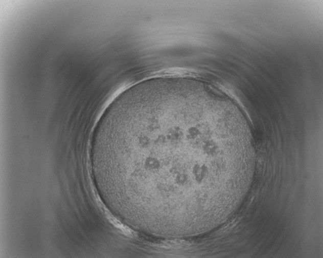 X0000077991091200611171748