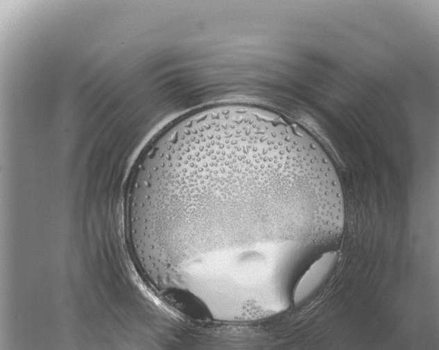 X0000077991092200611171748