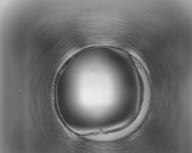 X0000077991093200611171748