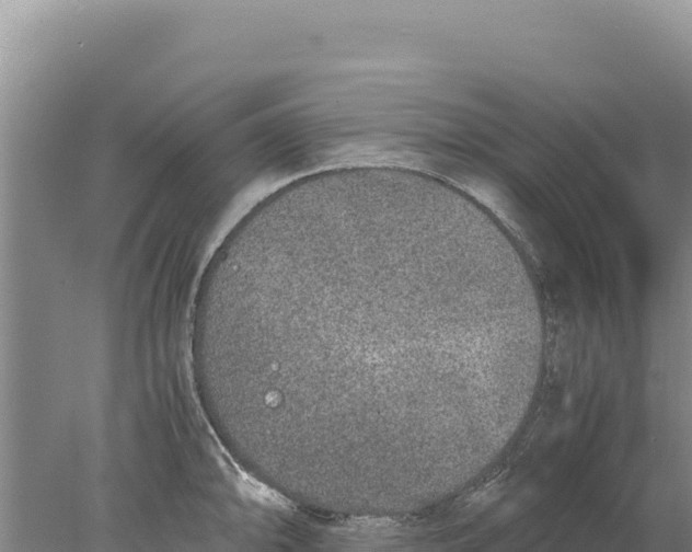 X0000077991094200611171748