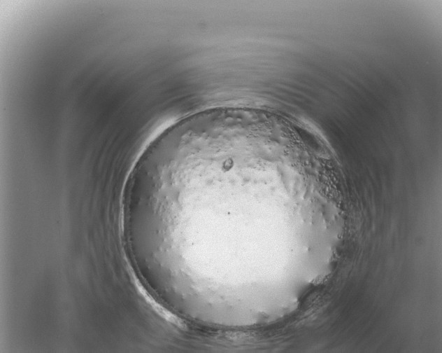 X0000077991095200611171748