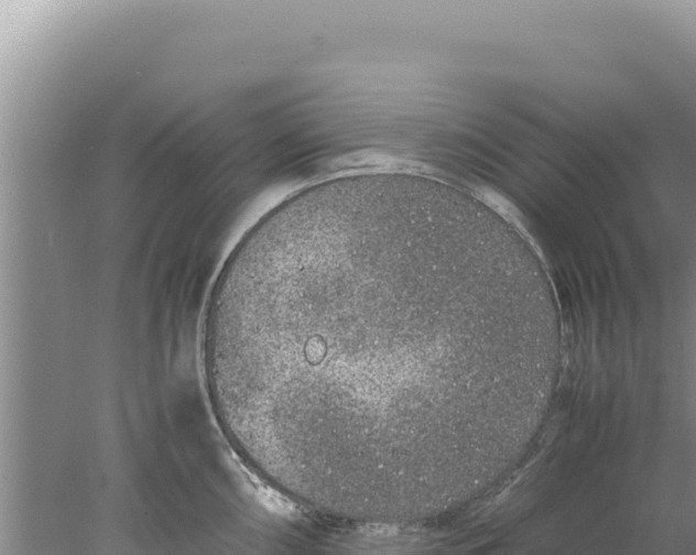 X0000077991098200611171748