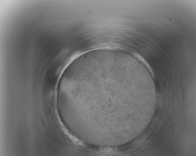 X0000077991099200611171748