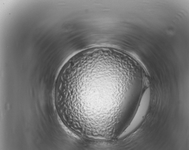 X0000077991100200611171748