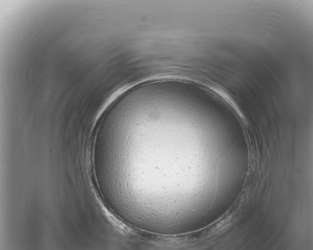 X0000077991101200611171748