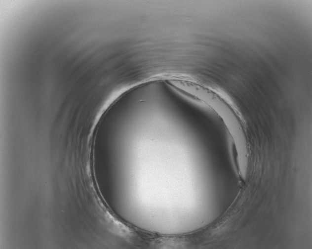 X0000077991102200611171748