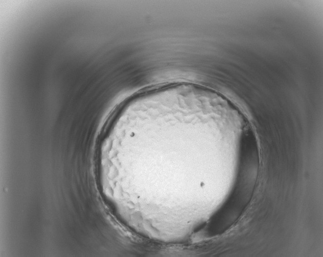 X0000077991104200611171748