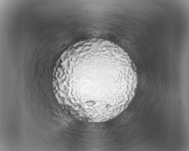 X0000077991105200611171747