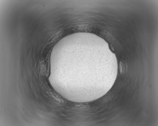 X0000077991107200611171747