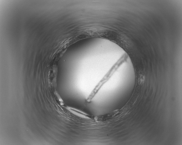 X0000077991108200611171747