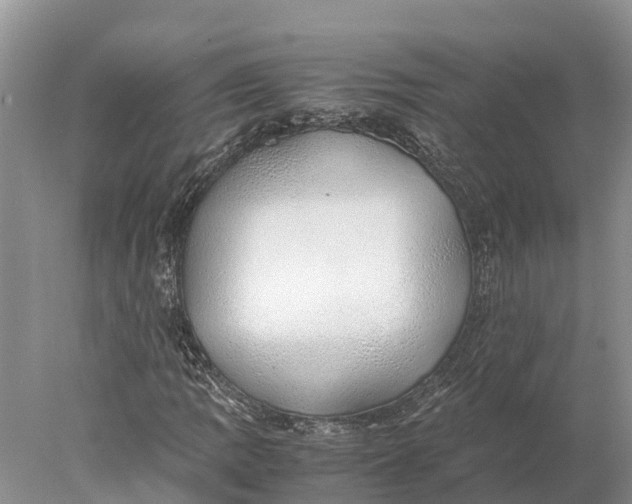 X0000077991109200611171747