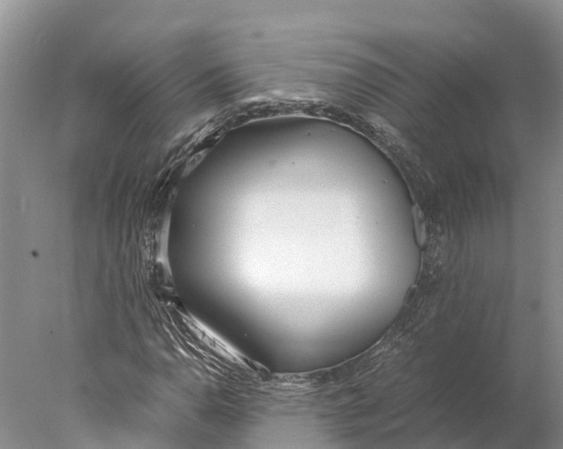 X0000077991110200611171747