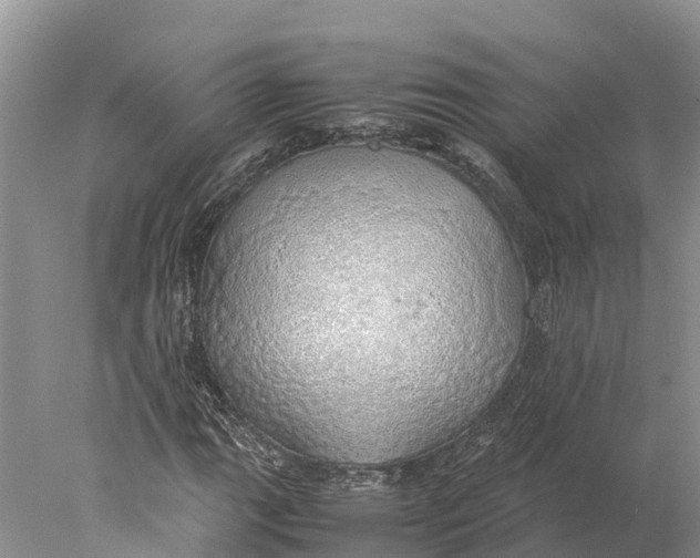 X0000077991111200611171747