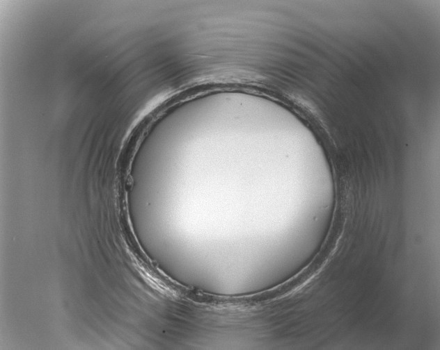 X0000077991114200611171747