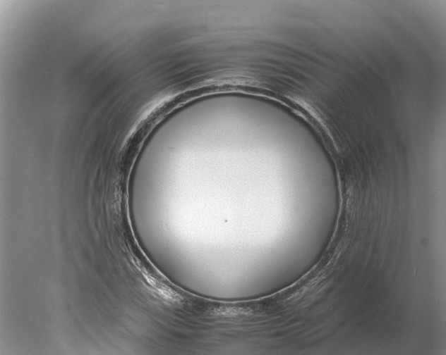 X0000077991115200611171747