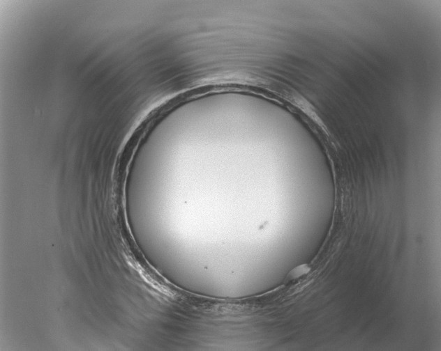 X0000077991116200611171747