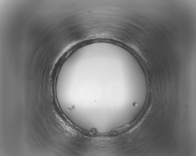 X0000077991118200611171747